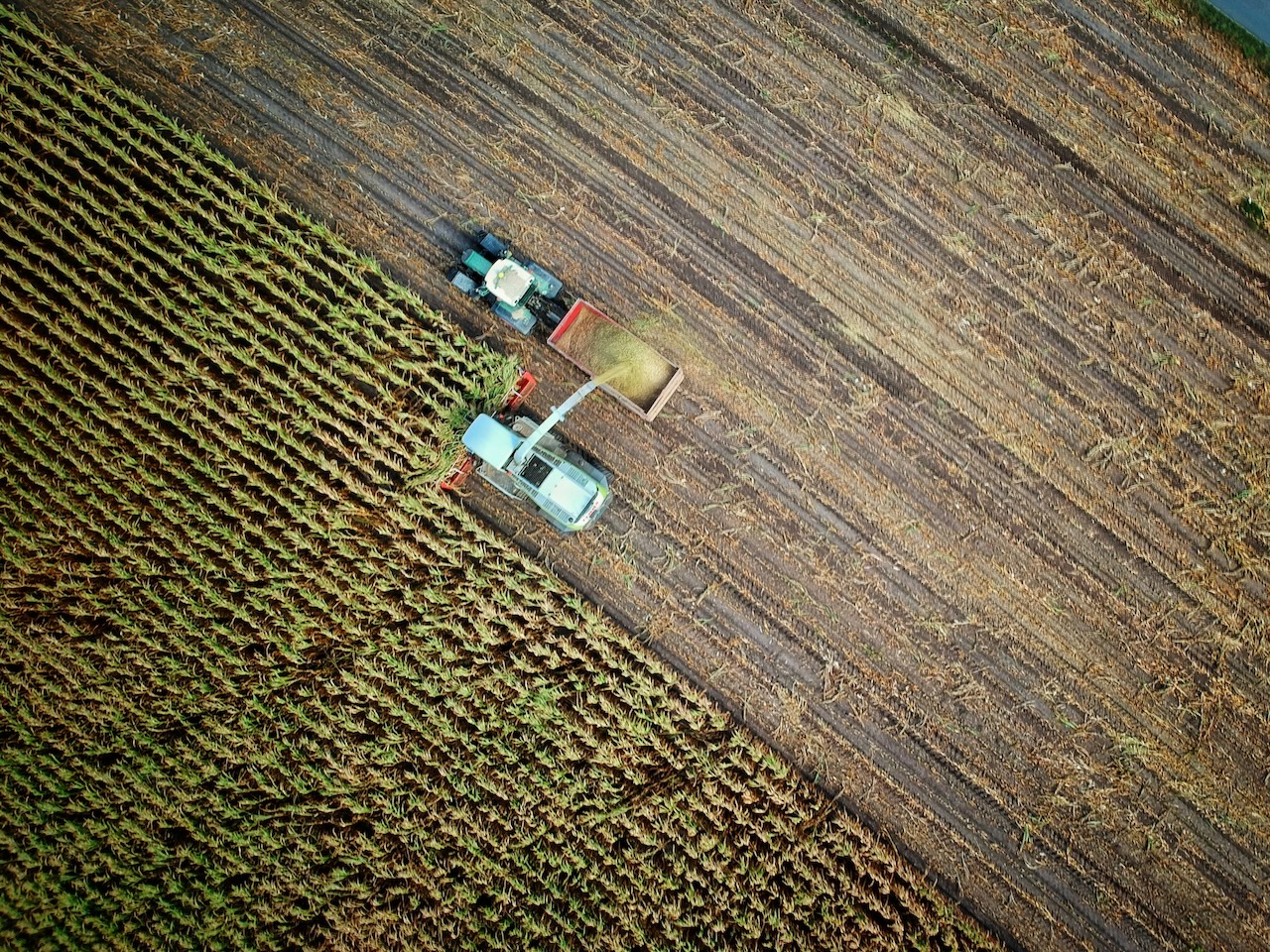 Empowering Farmers in the Face of Climate Uncertainty